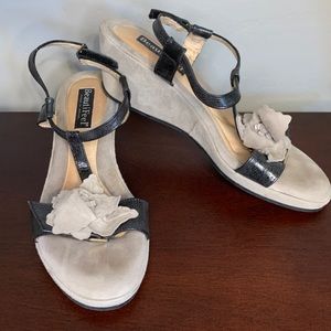 9.5 Black and Tan BEAUTIFEEL